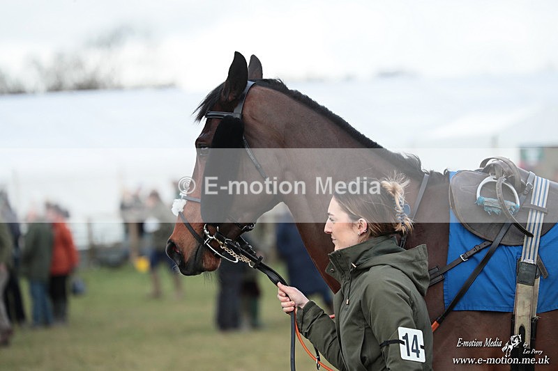 PtP 250126 30 - Cocklebarrow Races Point-to-Point 25/01/26