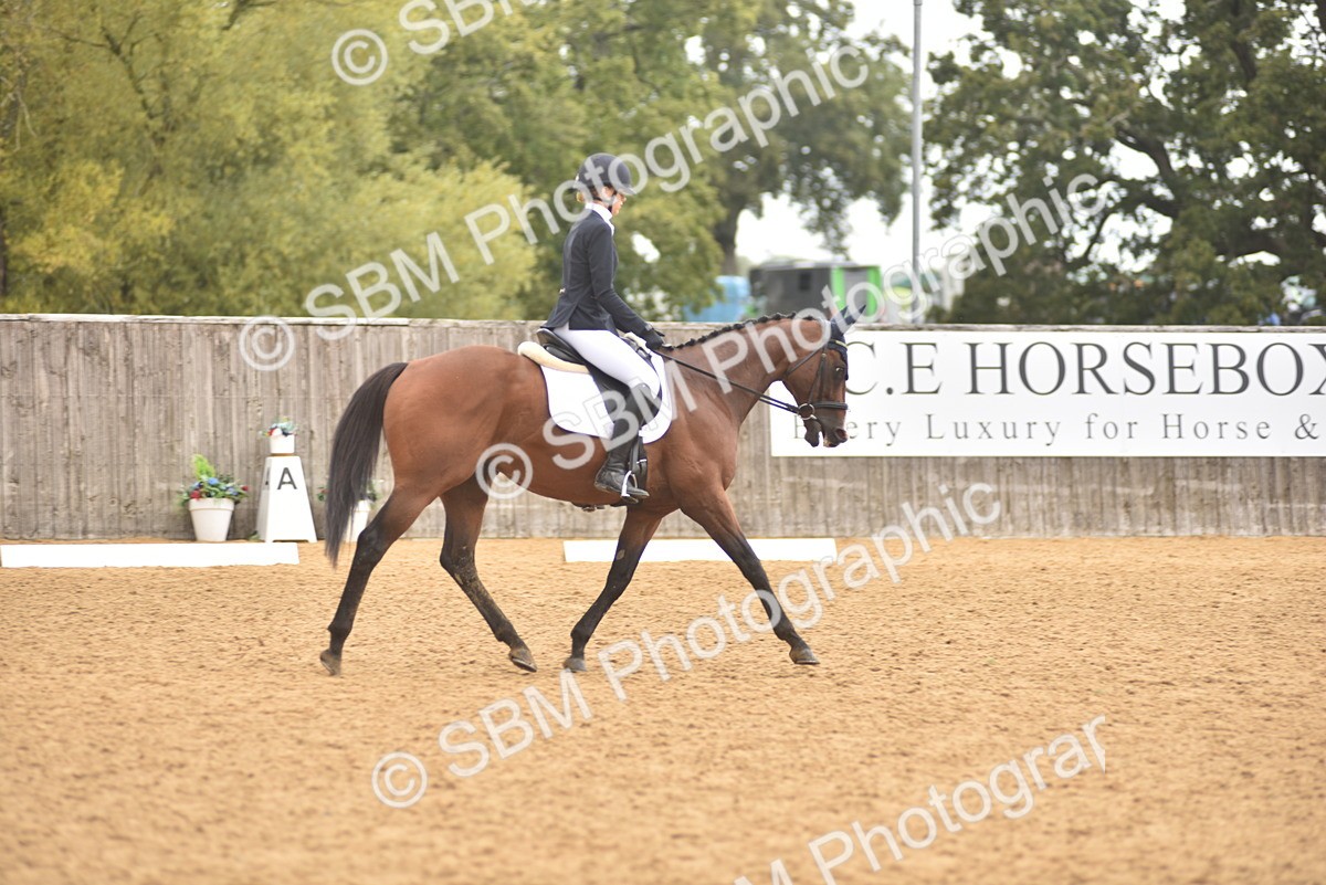 SBM_42362 - D22 - Junior Championship Intro 3