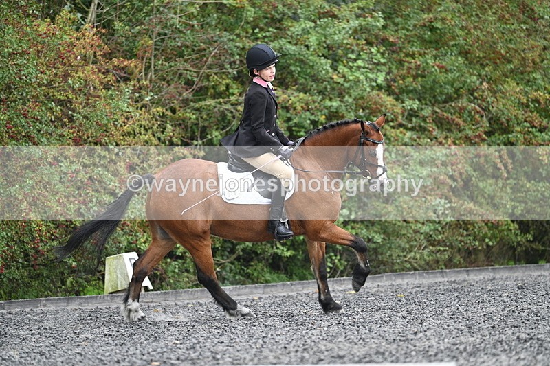 WJ7_4016 - Time 11:04 to 11:38