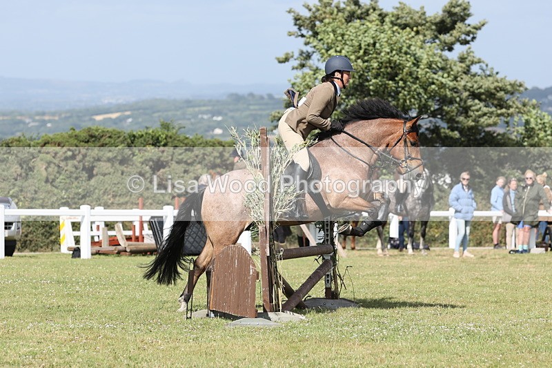 JPP_2654 - Class 20: Working Hunter 70cm