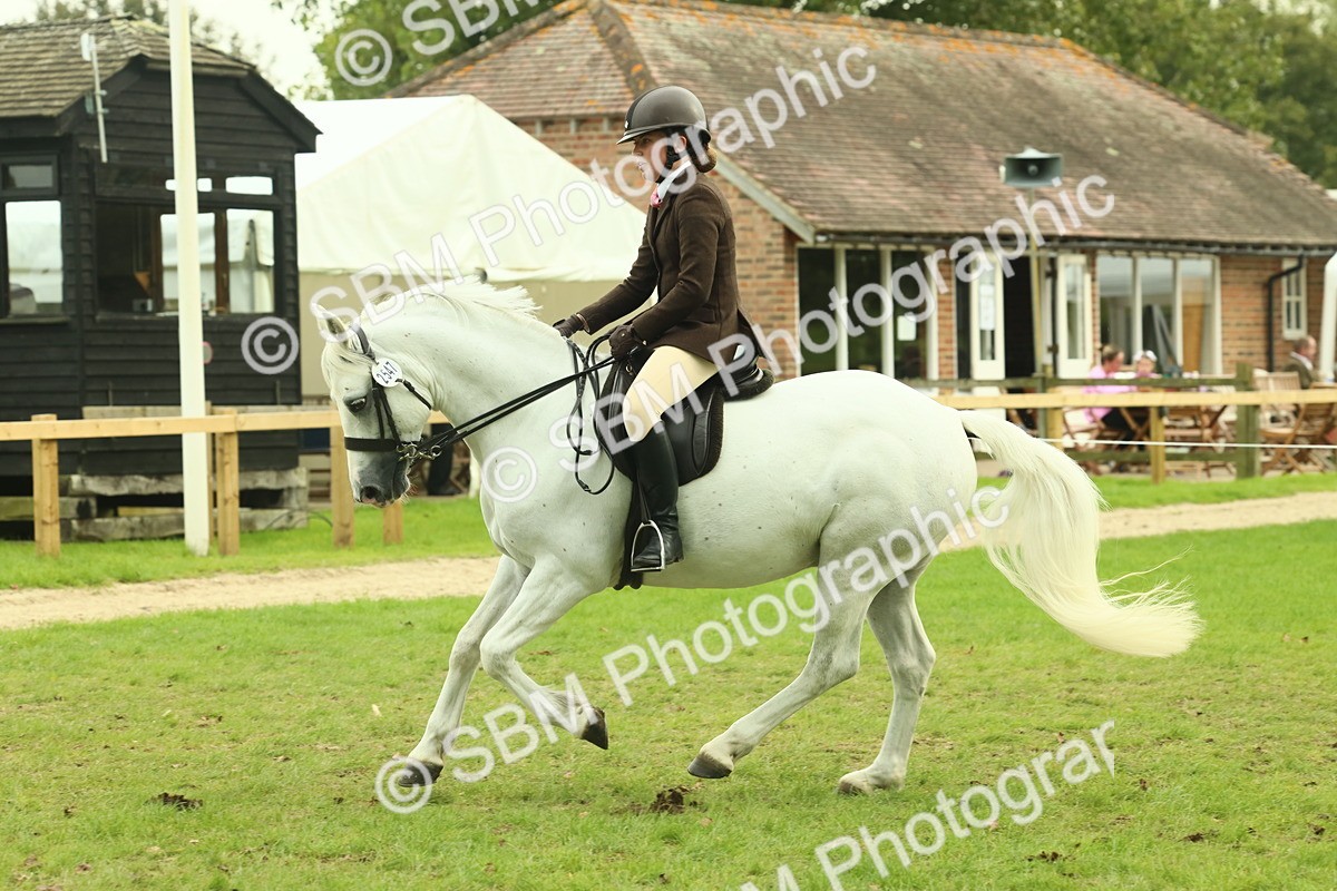 SBM_71983 - S60 - Mountain & Moorland Ridden Large Breeds