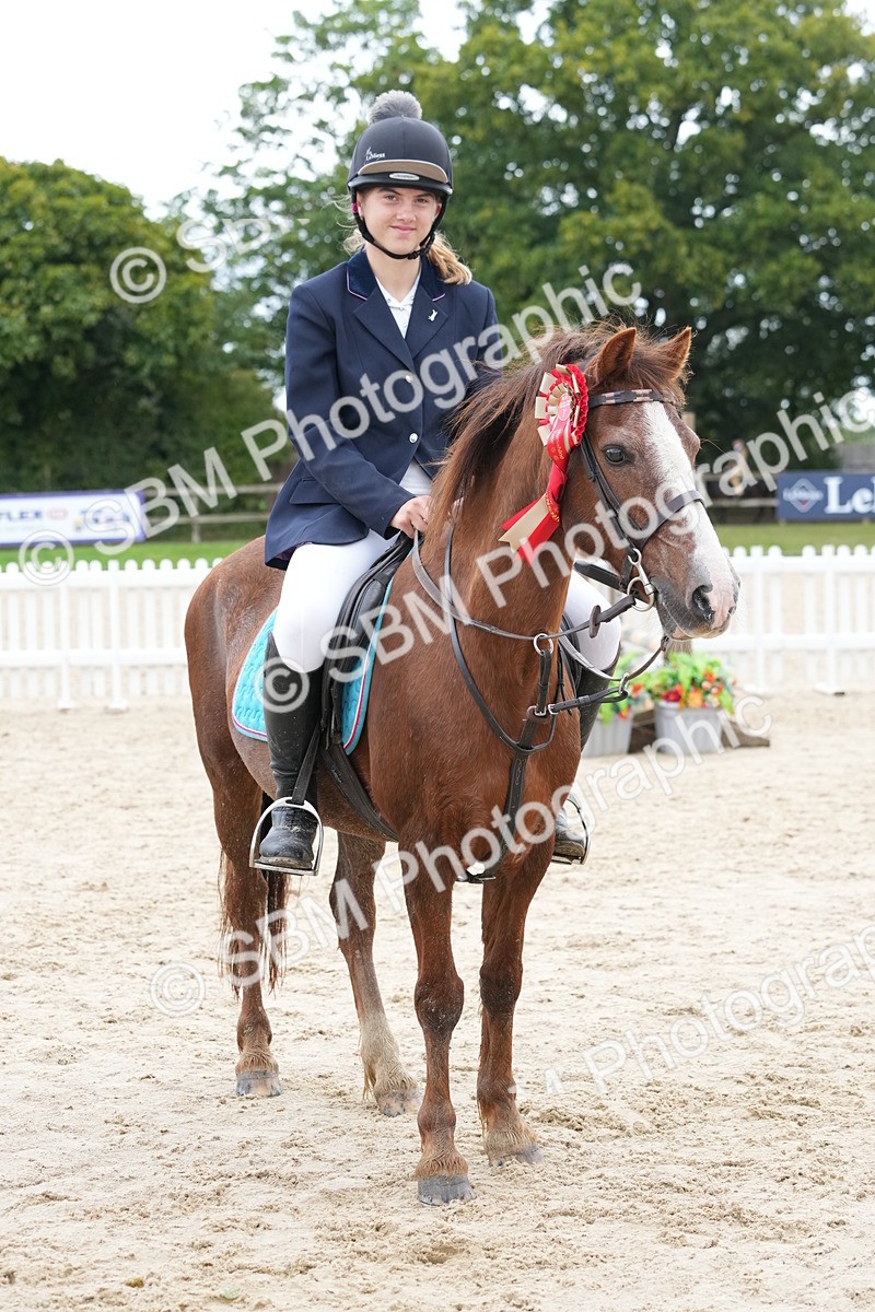 SBM_40874 - Supreme Championship Pony 50-55cm