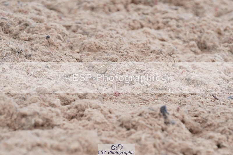 250621-100202-05613 - Quest Cls 7-11, Prelim All