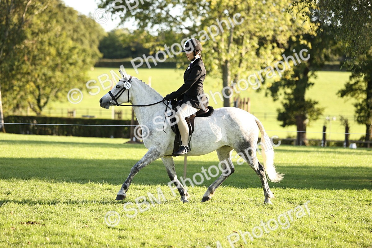 SBM_29610 - S7 - Novice & Newcomers Ridden Pony