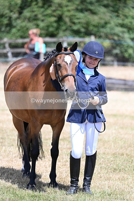 WJ7_2255 - Class 5 Most Handsome Gelding (up to 14.2hh) in hand