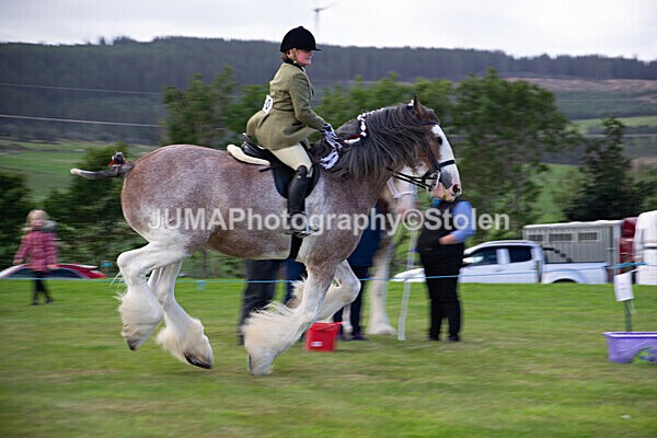 DSC_0236 - Ring 1