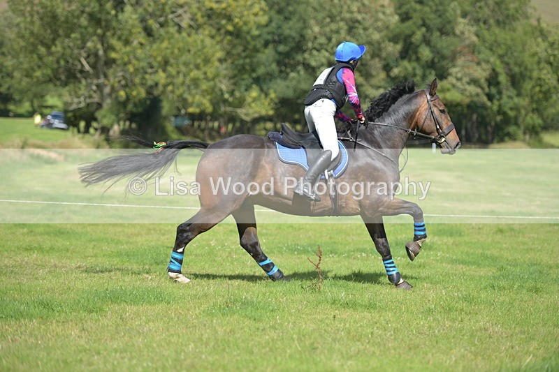 RAY_8728 - Class 2: Trekenning Open: Wall