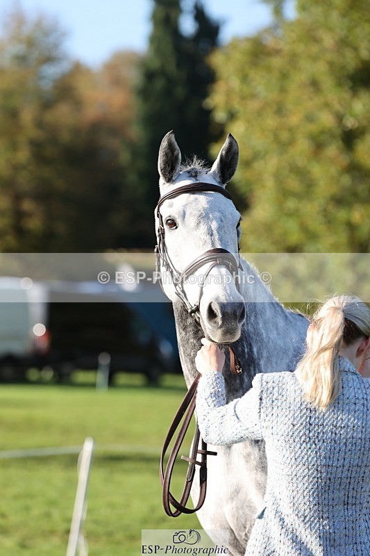 241027-092452-15277 - 306-Alice.Sandiford-THE.GREY.DANCER