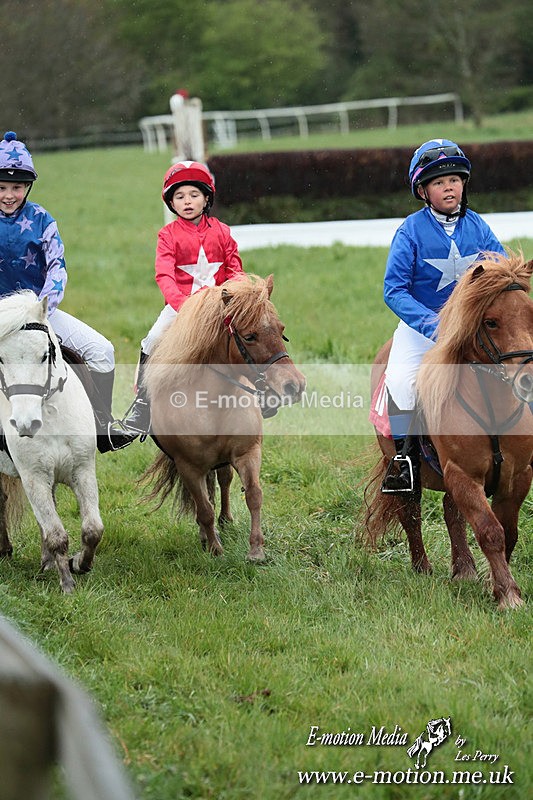 SHETPR 210425 249 - Shetland Ponies Paxford Races 21/04/25