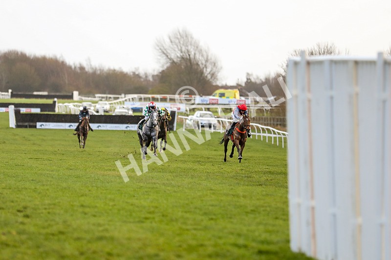 281223-Race 4-Lavida Adiva-3423 - Race 4