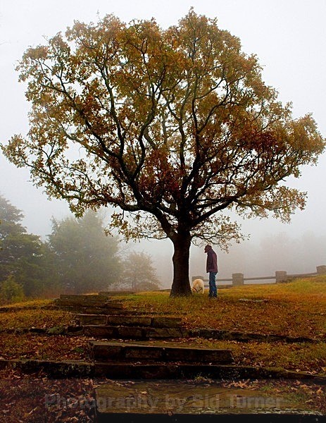  - Scenics and Life