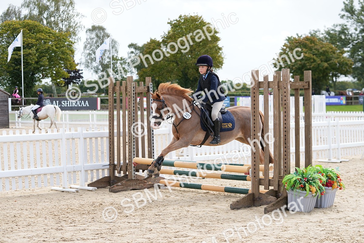 SBM_40739 - Supreme Championship Pony 50-55cm