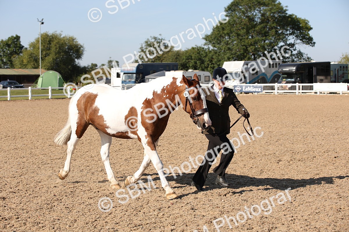 SBM_01506 - Class 15 IH Coloured