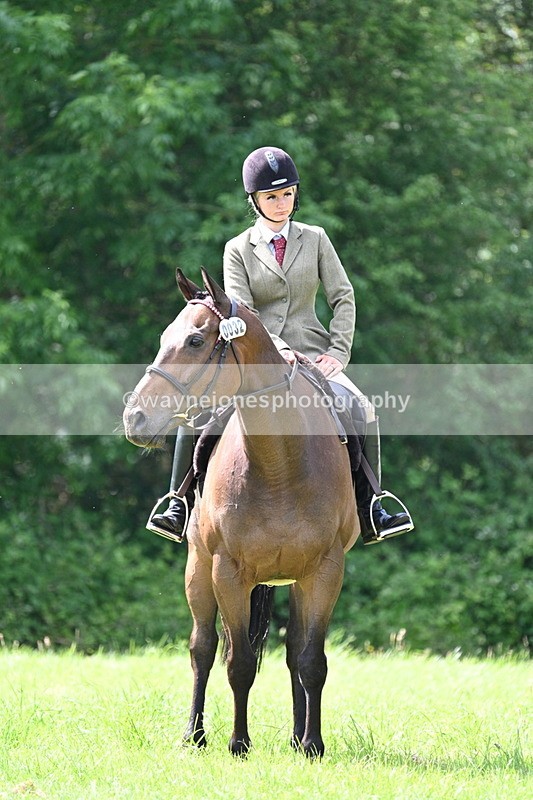 WJ7_1421 - Class 11 Condition & Turnout