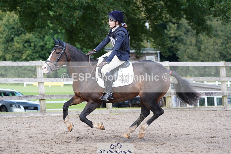 240824X-141342-28083 - 80cm Round 1 14.00 to 15.30