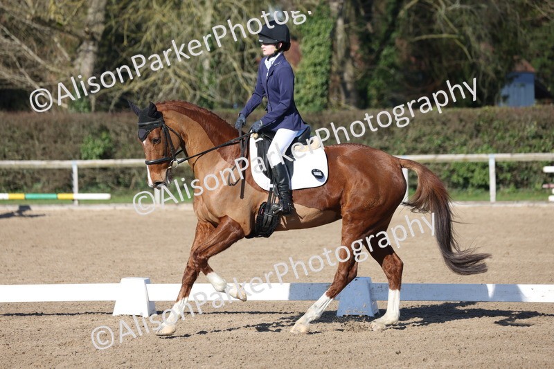 20260214-0350 - Class 4 - Novice 2