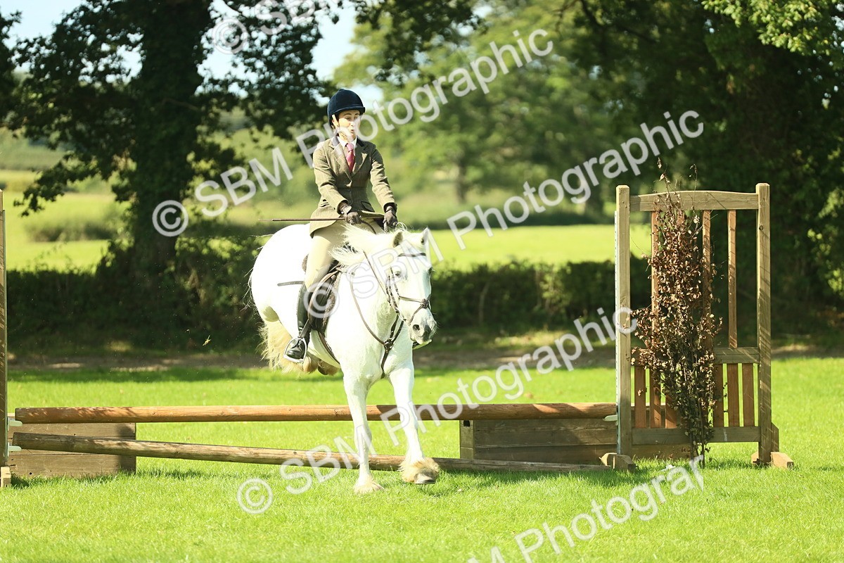 SBM_41987 - S29 - Novice & Newcomers Working Hunter Pony