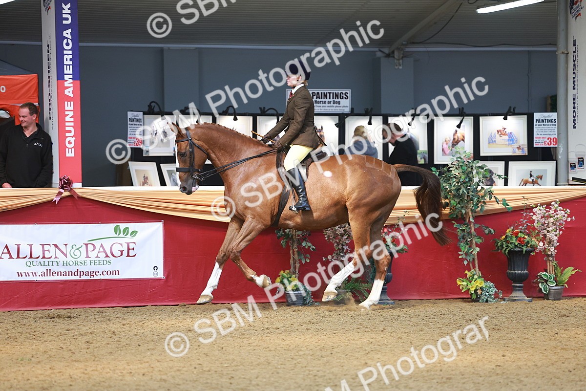 SBM_12579 - Class 103 - HOYS Veteran Qualifier - Ridden Pre Vet
