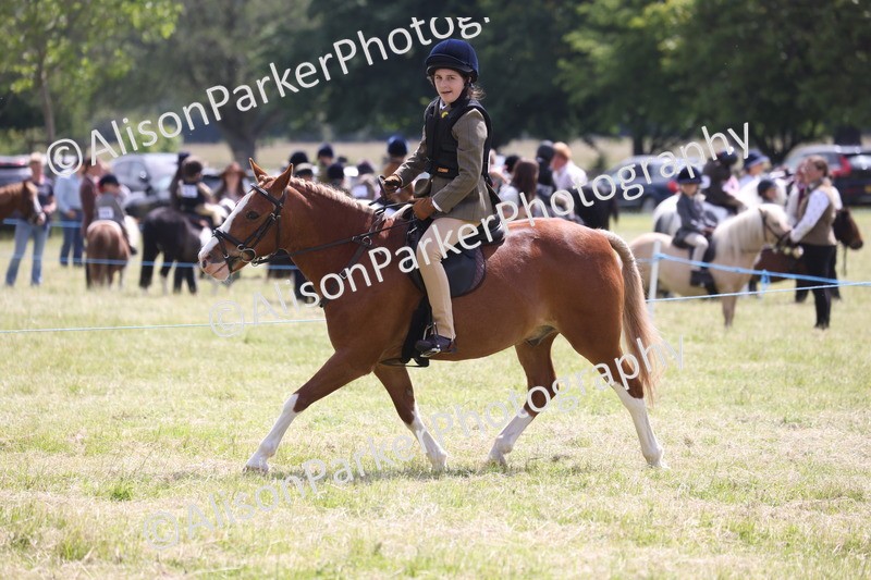 20260614-1939 - Class 21 - Novice Working Hunter Pony
