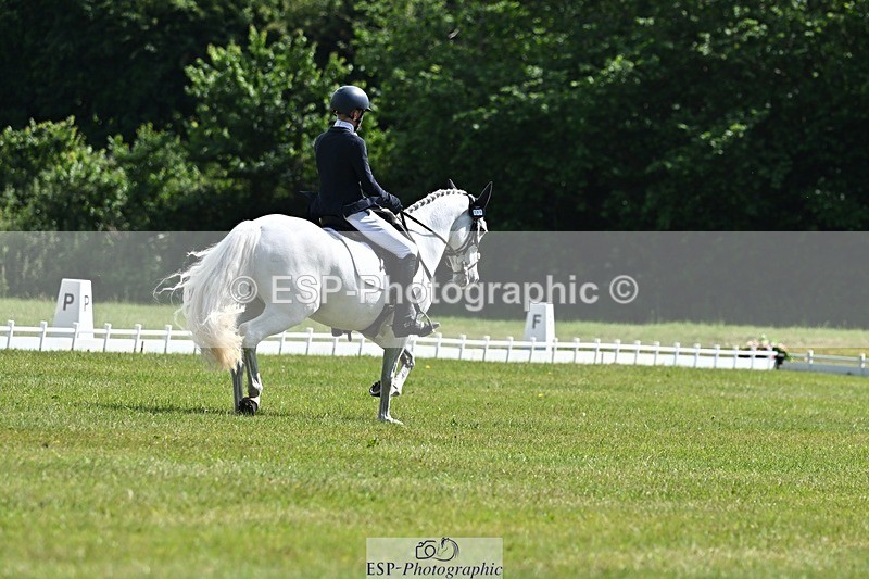 260529A-154154-08880 - A-118-Harry.Watkinson