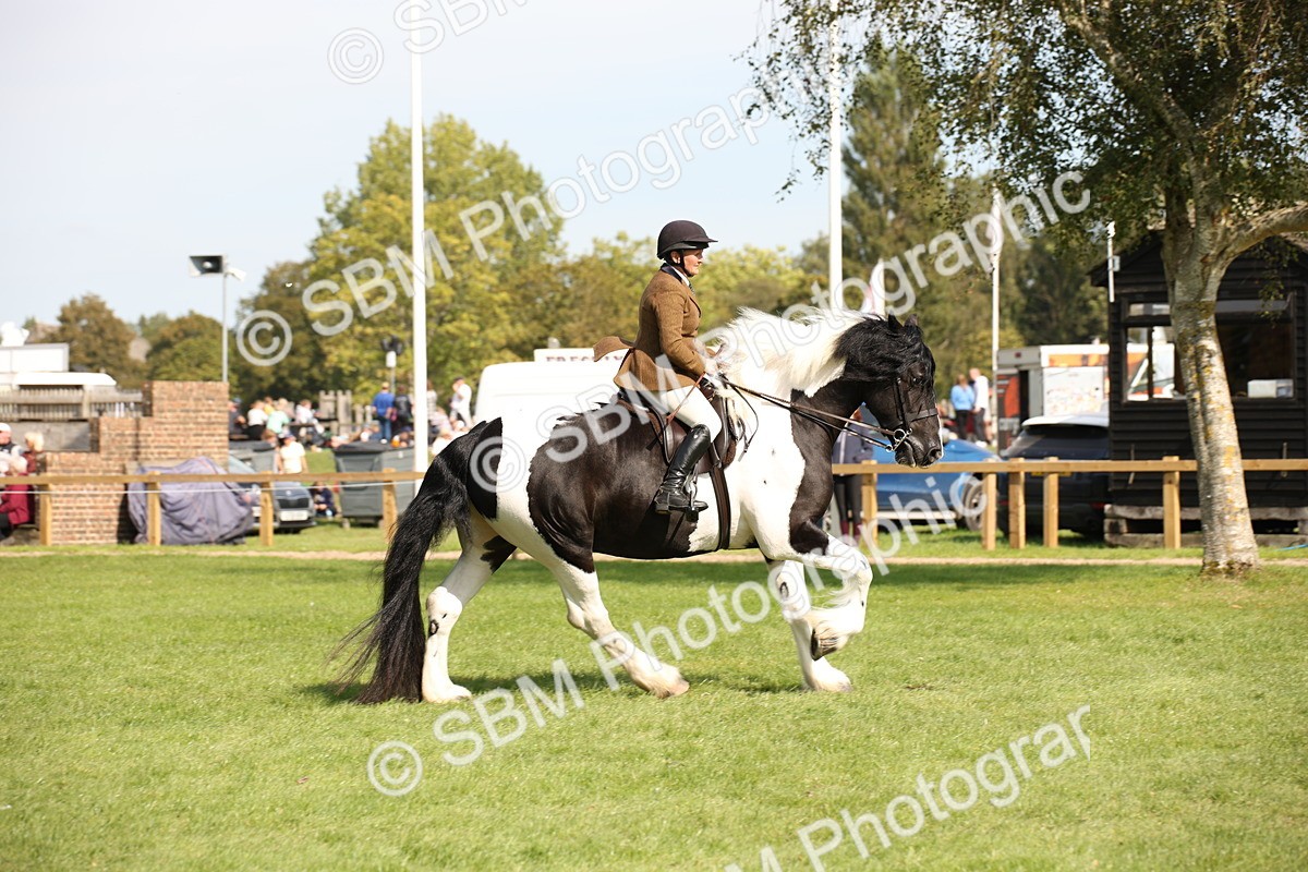 SBM_70118 - S65 - Piebald & Skewbald Horse Ridden
