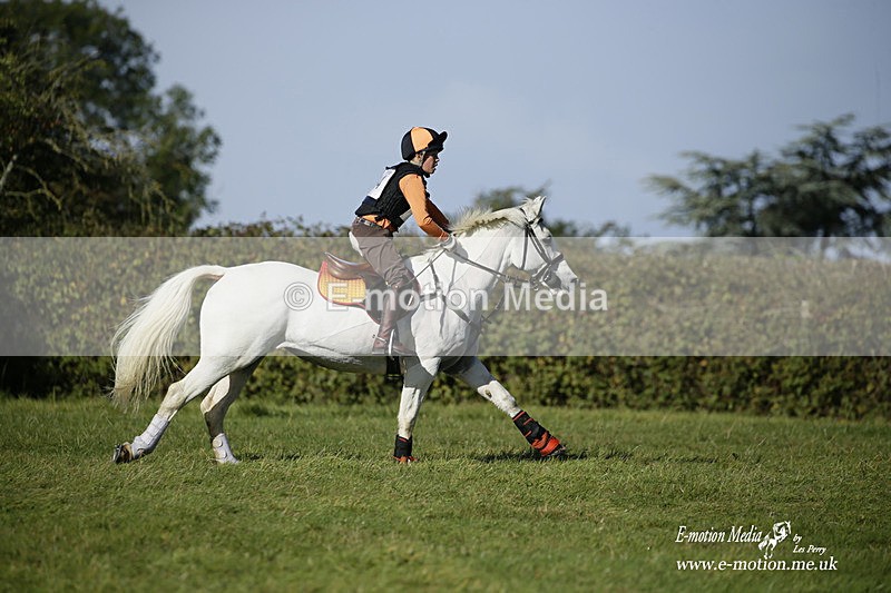  WWHT 031021 1268 - Open Novice (0.80m) 03/10/21