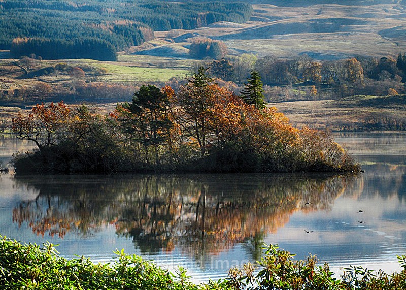 Eilean Freoch, a small island on Loch Awe bathed in autumn sunshine - Loch-Awe, Argyll, Scotland