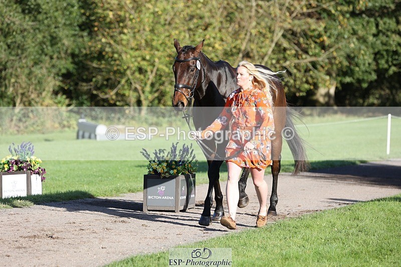 241027-092828-15319 - 420-Pip.Howarth-OTTAVA