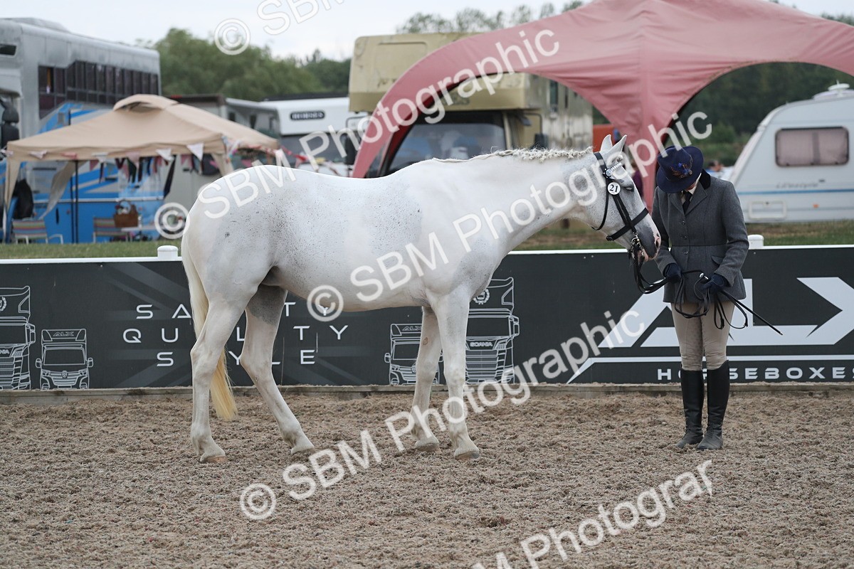 SBM_18348 - Class 318 IH Part bred Horse/Pony