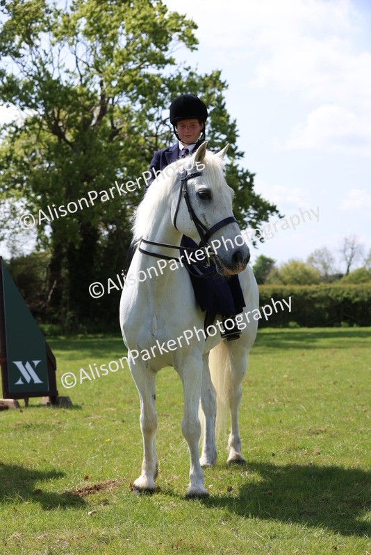 20250427-2633 - Class 20 - Working Hunter Ponies