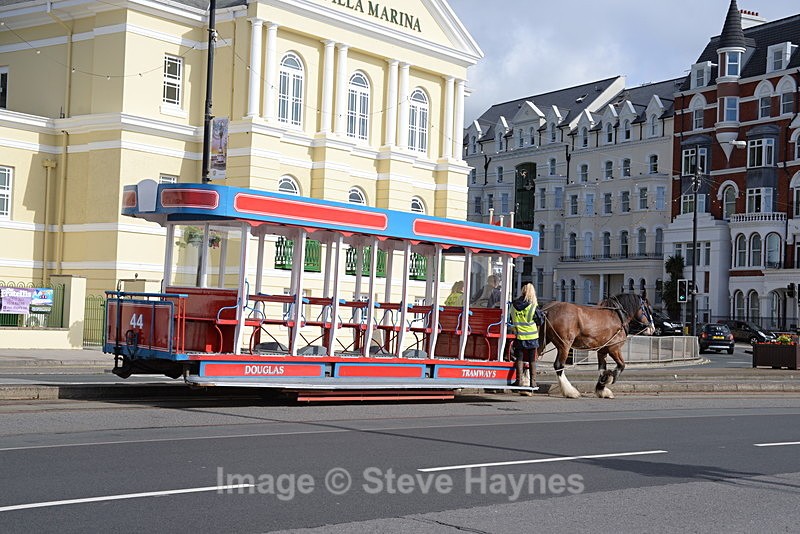 5th July 2017 - Douglas Bay Horse Tramway