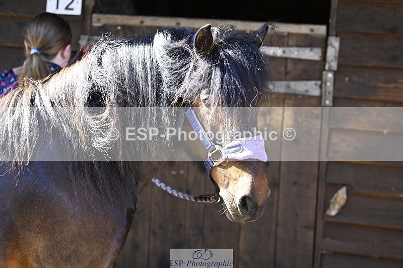 240728B-092912-00023 - Sunday Stable Shots and Fancy Dress