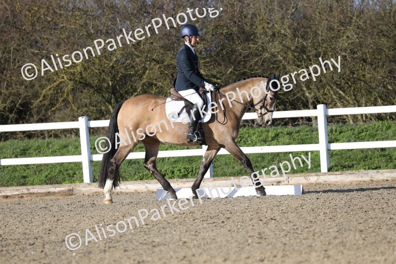 20260314-5866 - DR8 - Elementary 2