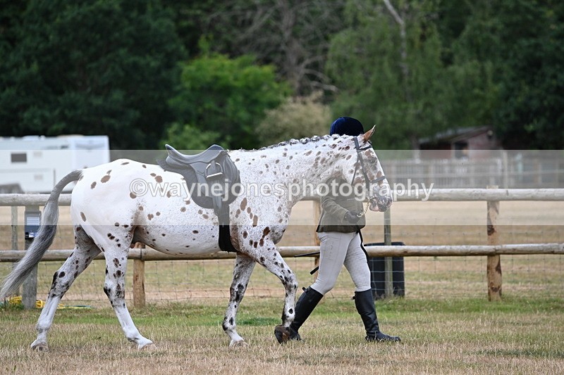 WJ6_3713 - Class 9 Tack & Turnout