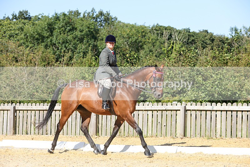 1X9A7870 - Class 10:Riding Horse