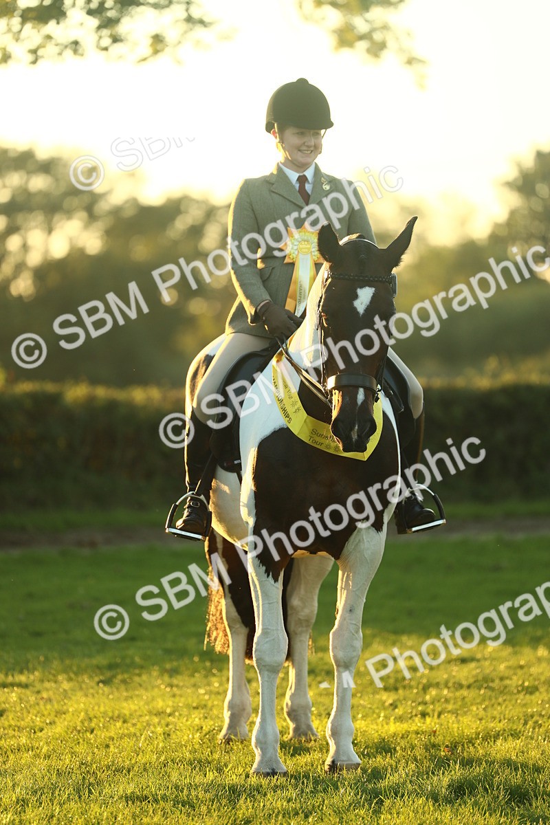 SBM_56635 - Fun & Versatile Supreme Championship