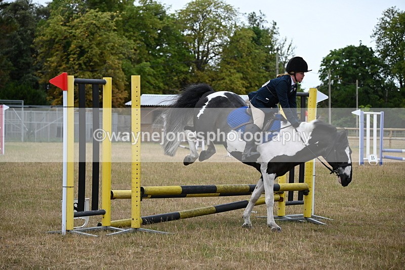 WJ6_9958 - Class 13 Novice Jumping 60cm