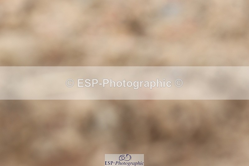 250622-151217-16841 - Cls 53 Medium 5, 14.50 to End