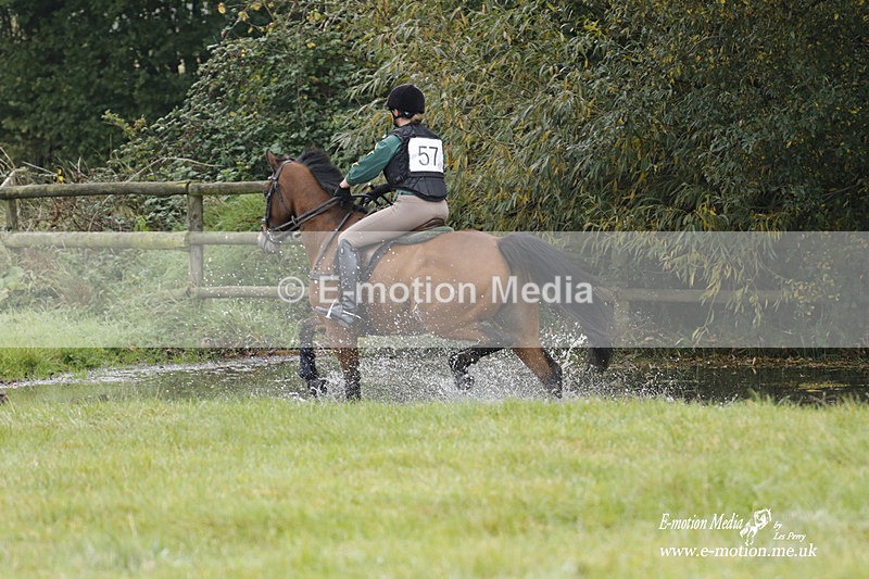  WWHT 171021 0799 - Open Novice (0.80m)  17/10/21