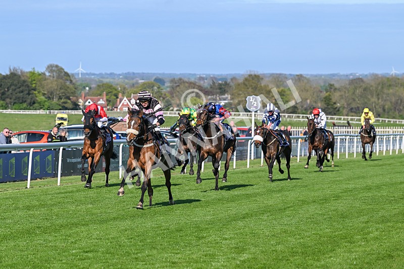240425-Race 8-Kimeko Glory-1920 - Race 8