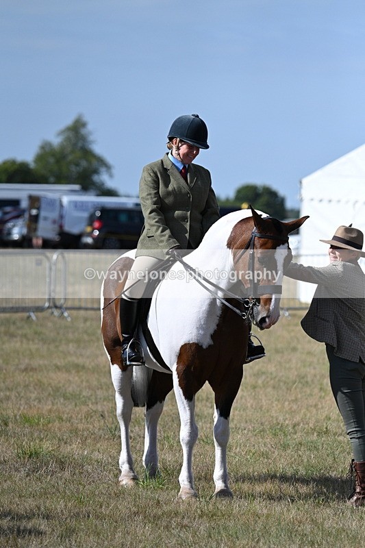 WJ7_2718 - Class 8 Ridden Tack & Turnout