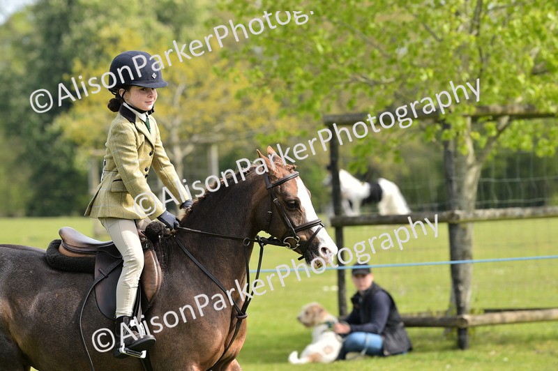 20260426-2269 - Class 20 - Beginner Working Hunter