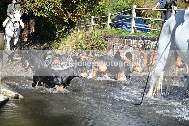 WJ7_5965 - Hounds Water Crossing