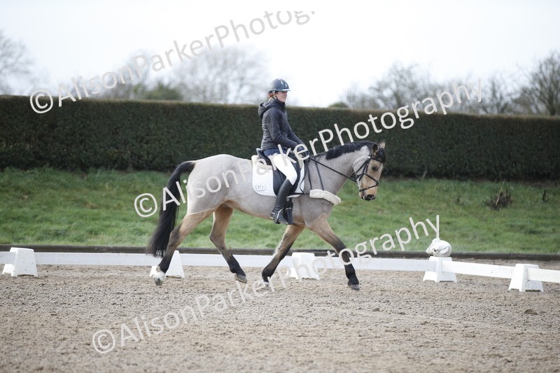 20260127-0352 - Class 16 - BD Novice 2