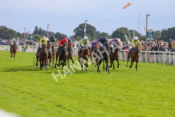 250823-Race 6-Battle Cry-5927 - Race 6 4.45pm British EBF 40th Anniversary Convivial Maiden Stakes