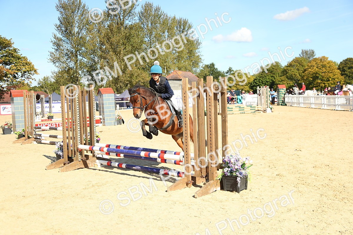 SBM_39378 - J6 - Junior Pony 55cm Championships