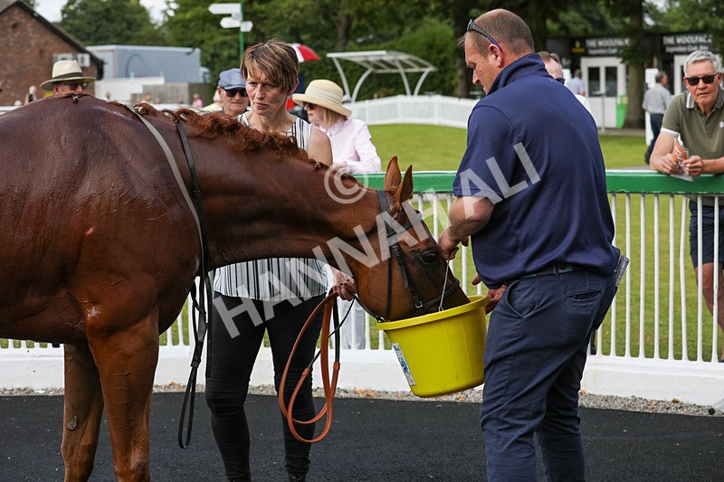 240624-Race 6-Profiteer-0476 - Race 6