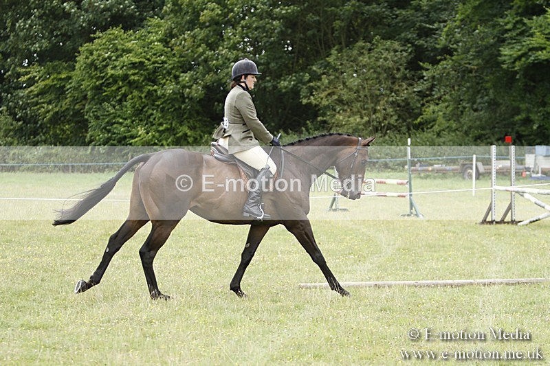 BVR160717-962 - Ring 3 BVRC Show 16/07/17