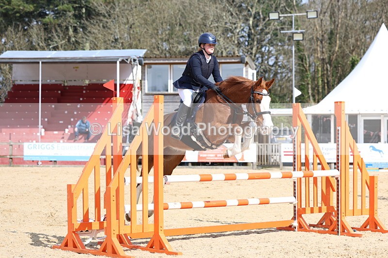 3E7A6579 - Class 4: Senior British Novice/90cm open
