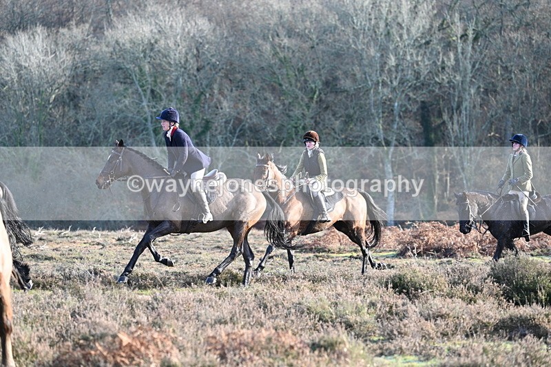 WJ7_7934 - Line 3 (no line 4 or 5)